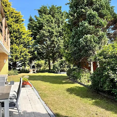 In Texel Near & Forest