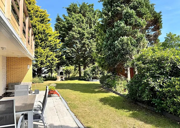 In Texel Near & Forest