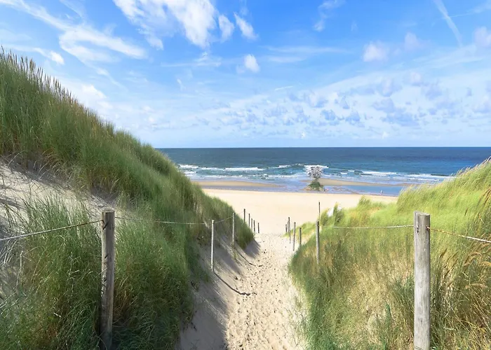 Semesterbostad In Texel Near & Forest *