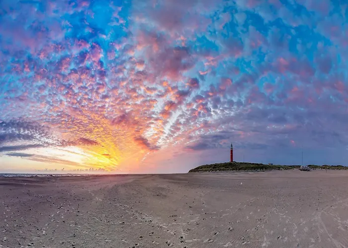 In Texel Near & Forest